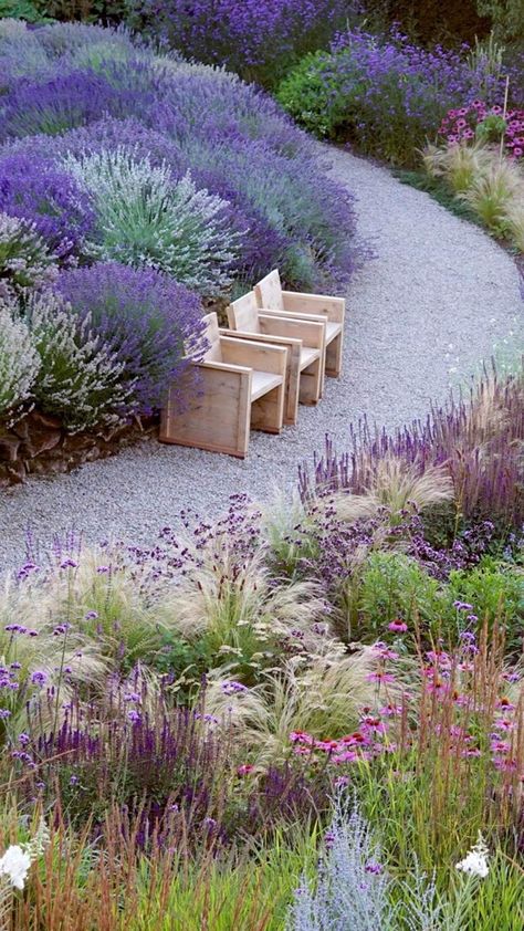 Terrace Plants, Lavender Inspiration, Australian Garden Design, Moderne Have, Mediterranean Garden Design, Prairie Planting, Dutch Gardens, Prairie Garden, Planting Design