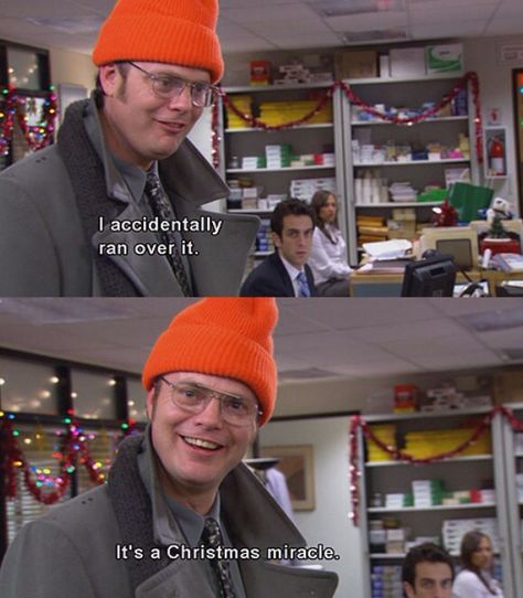 Haha it's a Christmas miracle The Office Christmas, Office Jokes, The Office Show, Christmas Miracle, Christmas Goose, Get Ready For Christmas, Office Memes, Christmas Memes, Office Quotes