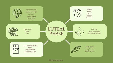 Phase 4 of your cycle, inner autumn, the last 10-14 days. Start to slow down in this phase and be mindfull of any pre-menstrual symptoms showing up. Follow for more cycle syncing tips and information 🌼 #cyclesyncing #menstruation #menstruationmatters #periodproblems #periodhealth women's health #selfcare #selflove #selfimprovement #lutealphase #nutrition #nutritionist #dietplan #femininity #aesthetic Menstrual Symptoms, Luteal Phase, Femininity Aesthetic, Period Problems, Cycle Syncing, Sweet Potato And Apple, Navy Bean, Pumpkin Banana, Phase 4