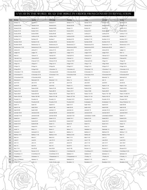 Read the Bible in Order from Genesis to Revelation. Read the Bible in a year. Bible in 1 year.  365 days Bible Reading Plan. 52 weeks Bible Reading Plan. 365 Days Bible Reading Plan, 365 Day Chronological Bible Reading Plan, 1 Year Bible Study Plan, 365 Day Bible Reading Plan, 52 Week Bible Reading Plan, 365 Bible Reading Plan, Bible In A Year Plan, Bible In Order, Bible Plans