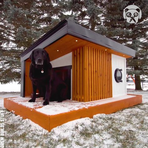 How to build a heated dog house | house | How to build a heated dog house Partner: Drew Builds Stuff YT: https://www.youtube.com/watch?v=QCOtWEFA6nc | By Bored Panda Art Diy Large Dog House, Dog House Plans Insulated, Dog House Design, Heated Dog House, Fancy Dog Houses, Easy Dog House, Dog House With Porch, Long Pendant Light, Dog Room Design