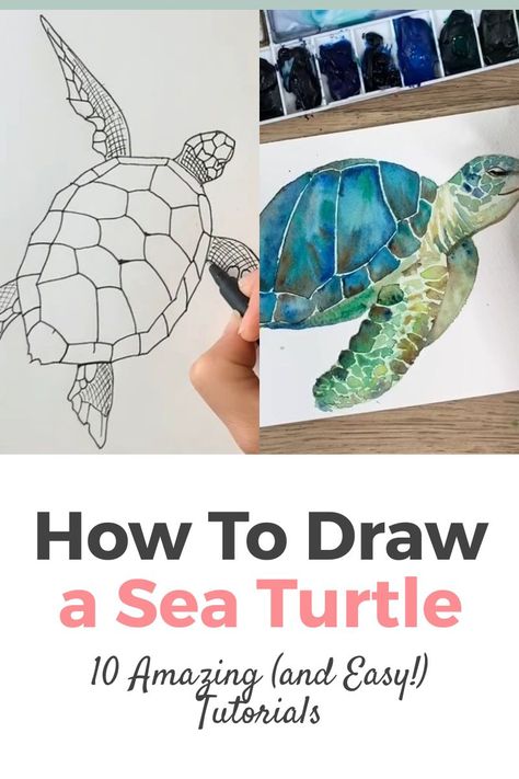 How to Draw a Sea Turtle: The Best 10 Video Tutorials Online with Step by Step Instructions both for Adults and Kids. If you're trying to draw a realistic sea turtle, you'll love these easy tutorials! Drawing Ideas Easy with Pencils, colored pencils and charcoal. How To Paint A Turtle, Sea Life Drawings Easy, Turtle Painting Acrylic, Draw A Sea Turtle, Draw A Turtle, Sea Turtle Watercolor Painting, Learning Room, Sea Turtle Drawing, Sea Creatures Drawing