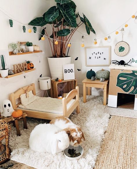 Boho Bunny Room, Bunny Free Roam Area, Bunny House Decor, Bunny Setup In Bedroom, Rabbit In Bedroom, Freeroam Bunny Setup, Rabbit Set Up Indoor Aesthetic, Pet Rabbit Aesthetic, Bunny Room Indoor Rabbit Play Areas