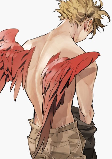 Hawk Wings, Hawk Pictures, Winged People, Hes Mine, Dibujos Cute, My Hero Academia Episodes, Pretty Birds, Hero Academia Characters