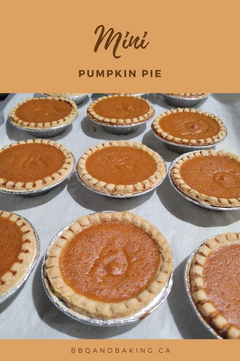 nine mini pumpkin pies Hand Held Pumpkin Pies, Pumpkin Pie Biscuits, Homemade Mini Pumpkin Pies, Pumpkin Pie Mini Pies, Easy Mini Pumpkin Pies, Pumpkin Pie Tarts Easy, Mini Pies For Wedding, Individual Pumpkin Pie Recipe, Mini Pies Recipes