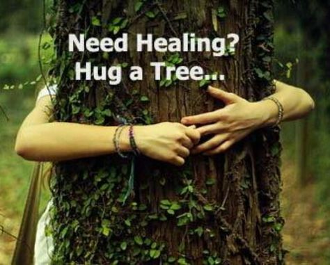 Hug A Tree Healing Hugs, Eco Warrior, Wayne Dyer, Beltane, Tree Hugger, Nature Tree, In The Woods, Mother Earth, A Tree