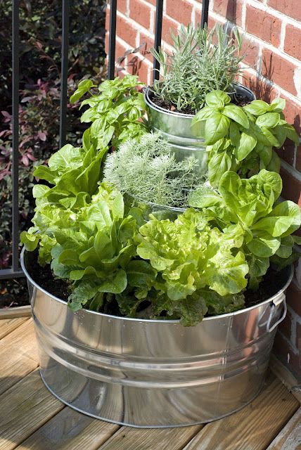 Salad gardening right outside the kitchen door ! Kebun Herbal, Taman Diy, Rosemary Lavender, Container Vegetables, Herb Garden Design, Herb Gardening, Home Grown Vegetables, Container Gardening Vegetables, Garden Containers