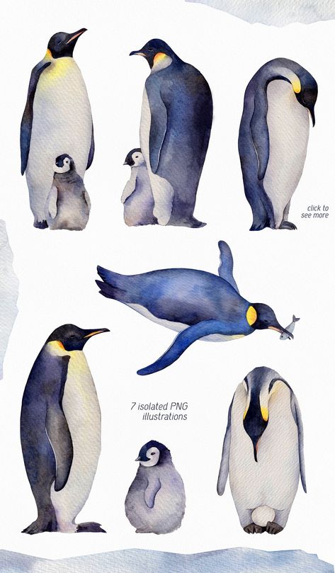 Fast Sketches, Penguin Sketch, Sketches Watercolor, Penguin Watercolor, Emperor Penguins, Penguin Pictures, Penguin Illustration, Penguin Drawing, Penguin Art