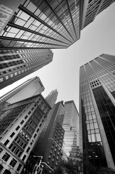 urban views Sky Scrapers, Foto Muro Collage, Black And White Photo Wall, Black And White Picture Wall, Gray Aesthetic, Picture Collage Wall, Images Esthétiques, Black And White Wallpaper, Photo Wall Collage