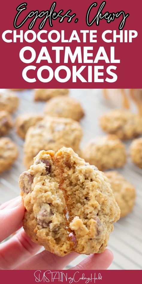 Whether you follow a dietary regimen or simply prefer to bake without eggs, this eggless chewy choco chip oatmeal cookie recipe is for you. #sustainmycookinghabit Oatmeal Cookies No Eggs, Baking Without Eggs, Oatmeal Cookie Recipe, Eggless Chocolate Chip Cookies, Eggless Desserts, Oatmeal Cookie, Filled Cookies, Oatmeal Cookie Recipes, Choco Chips