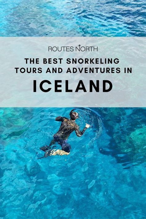 Of all the places you might associate with snorkeling, Iceland isn’t one of them. However, you may be surprised to discover that Iceland has some pretty amazing diving spots and some otherworldly underwater landscapes. Tectonic Plates, The Golden Circle, Best Snorkeling, Plate Tectonics, Golden Circle, Beneath The Surface, Snorkeling, The Golden, Iceland