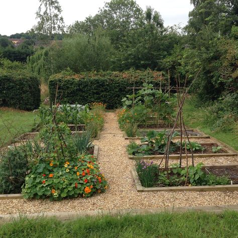 Allotment Bed Ideas, Garden Design With Vegetable Patch, Veggie Patch Ideas Raised Beds, Vegetable Patch Design, Raised Bed Pathway, British Vegetable Garden, Vegetable Garden Edging Ideas, Cottage Garden Vegetable Patch, Allotment Path Ideas