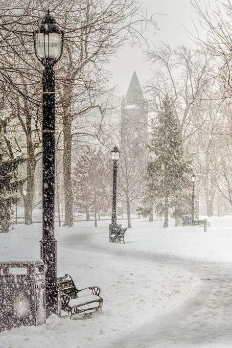 Christmas Invite, Winter Schnee, Parks Canada, Winter's Tale, Victoria Park, Winter Love, Winter Magic, Winter Scenery, Winter Beauty