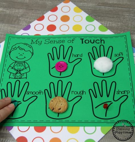 5 Senses Craft, 5 Senses Preschool, Five Senses Preschool, 5 Senses Activities, Senses Preschool, My Five Senses, Senses Activities, Aktiviti Kanak-kanak, Sense Of Touch