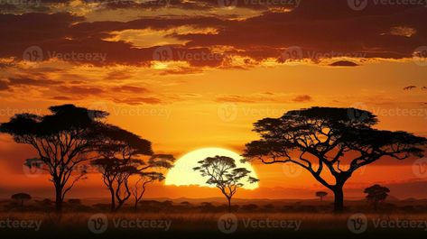 Sunset at a South African nature reserve casting tree silhouettes Africa Sunset Tattoo, African Sunset Tattoo, Nature Photography Landscape Scenery, African Savannah Landscape, South African Landscapes, South African Sunset, Africa Savannah, South Africa Nature, African Trees