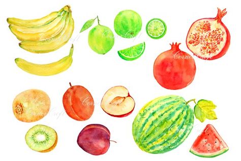 Watercolor Fruit Clipart Set 2 Graphics Hand painted watercolor clipart fruit of bananas,water melons,limes,plums,kiwi fruit and pomegranate by Corner Croft Watercolor Fruits And Vegetables, Pie Pictures, Media Pembelajaran, Watercolor Fruits, Fruit Clipart, Fruits Drawing, Still Life Fruit, Watercolor Fruit, Seni Cat Air