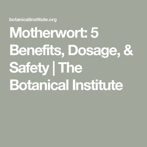 Motherwort: 5 Benefits, Dosage, & Safety | The Botanical Institute Motherwort Benefits, Postpartum Hemorrhage, Fruit Flowers, Thyroid Health, Clinical Research, Cardiovascular Disease, Clinical Trials, Herbal Medicine, Nervous System