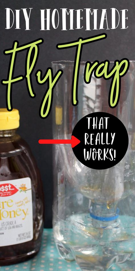 Diy Fly Traps Indoor, How To Make Fly Traps Homemade, Black Fly Trap Diy, Home Made Fly Trap Diy, Home Fly Trap, Diy Sticky Fly Trap, Homemade Fly Killer, Natural Fly Trap Indoors, Fly Traps Homemade Diy Outdoor