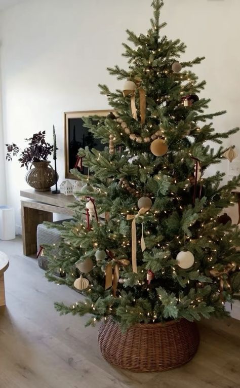 Small Christmas Tree Display Ideas, Christmas Tree Aesthetic Ideas, Norfolk Christmas Tree, Real Xmas Tree Decorating Ideas, Christmas Tree Placement Ideas, Naturally Decorated Christmas Trees, Ribbon Only Christmas Tree, Neutral Xmas Decor, Xmas Garland Ideas Decoration