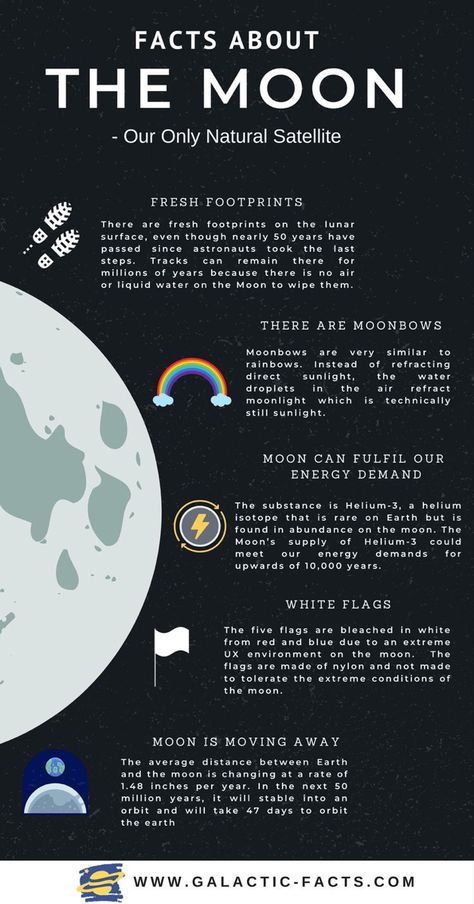 Facts About The Moon, Neptune Facts, Solar System Facts, Moon Facts, Moon Rings, About Moon, Astronomy Facts, Sistem Solar, Astronomy Science