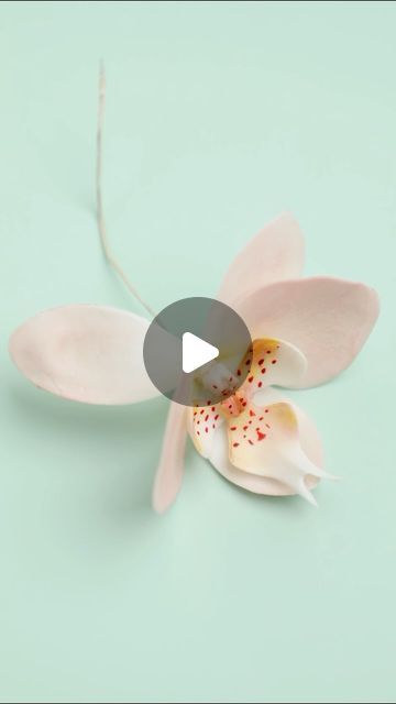 Buttercream Orchids Tutorial, Orchid Template Free Printable, Orchid Cake Ideas, Buttercream Orchid, Cake Flowers Tutorial, Gum Paste Flowers Tutorials, Flori Fondant, Sugar Paste Flowers, Sugar Flowers Tutorial