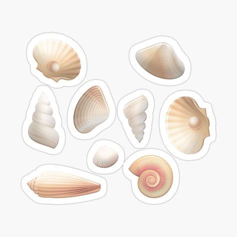 Get my art printed on awesome products. Support me at Redbubble #RBandME: https://www.redbubble.com/i/sticker/Seashells-by-DesignHouse07/71281449.EJUG5?asc=u H2o Stickers, Sea Stickers, Kindergarten Coloring, Kindergarten Coloring Pages, Scrapbook Digital, Digital Stickers, Digital Sticker, Sticker Art, Cute Designs