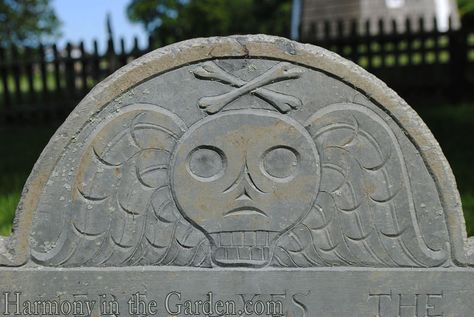 Spooky South End Cemetery | Harmony in the Garden Skull And Wings, Winged Skull, Cemetery Headstones, Legends And Myths, Cemetery Art, Primitive Halloween, Metal Clay Jewelry, Gifts For Photographers, After Life