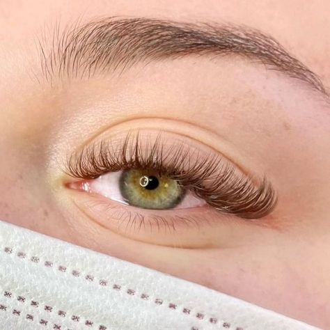 Brown Classic Eyelash Extensions, Soft Wispy Eyelash Extensions, Short Brown Lash Extensions, Brown Fake Lashes, Brown Eyelash Extensions Lashes, Hybrid Lash Extensions Short, Brown Natural Eyelash Extensions, Brown Wispy Lashes, Wispy Brown Eyelash Extensions