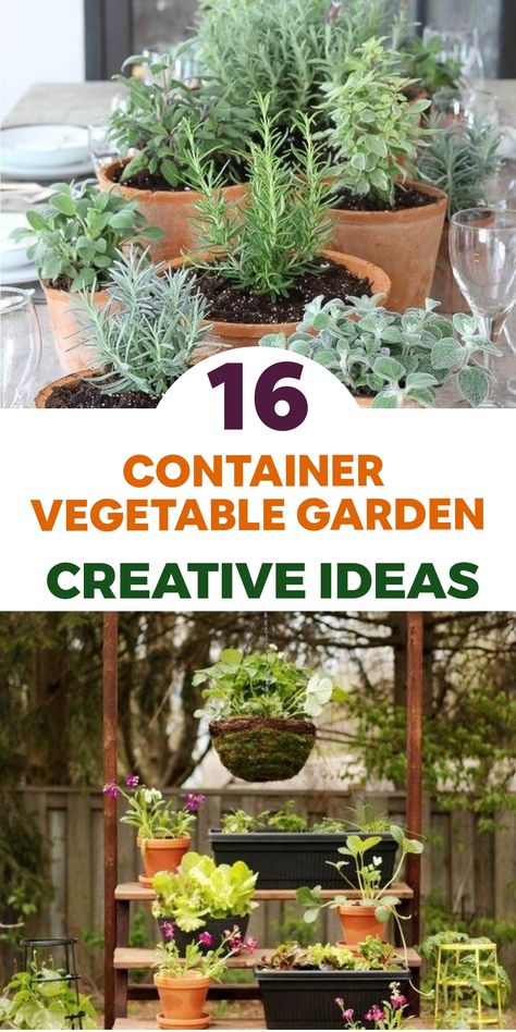 Create a bountiful urban vegetable garden with these innovative container gardening tips designed for city dwellers craving homegrown goodness. Transform your patio into a space of vibrant raised beds, adding a splash of color with various peppers growing in charming containers. Enhance your gardening experience by setting up a miniature greenhouse for continuous harvests throughout the year. Container Vegetable Garden Ideas, Apartment Vegetable Garden, Container Vegetable Garden, Mason Jar Herbs, Miniature Greenhouse, Fall Landscaping, Vegetable Garden Ideas, Vegetable Planters, Herb Containers