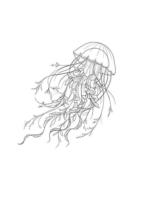 Body Tattoo Design Drawings, Jellyfish Design Tattoo, Jellyfish And Whale Tattoo, Sealife Spine Tattoo, Single Line Jellyfish Tattoo, Jelly Tattoo Fish, Jellyfish Tattoo Designs For Women, Jellyfish Tattoo Women, Large Jellyfish Tattoo