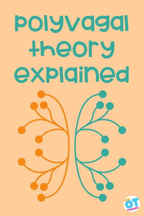 What is Polyvagal Theory? - The OT Toolbox Polyvagal Theory Exercises, Nervous System Diagram, Freeze Response, Nervous System Anatomy, Theory Quotes, Polyvagal Theory, Counseling Worksheets, Autonomic Nervous System, Vagus Nerve