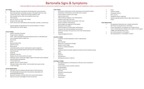 Bartonella Symptoms, Types Of Rashes, Lecture Hall, Cat Scratch, Stuck In My Head, Invisible Illness, Blood Cells, Signs And Symptoms, Secret Love