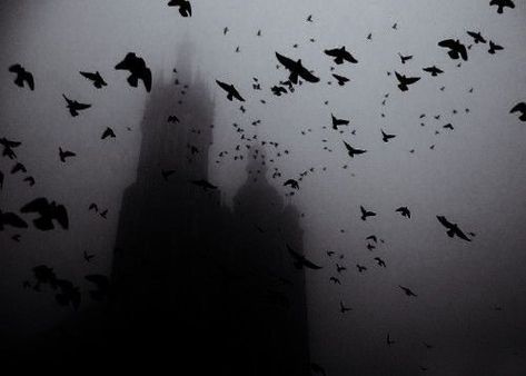 Dark Fairytale Aesthetic, Vampire Aesthetic, Dark Castle, Dark Fairytale, Black And White Birds, White Birds, Queen Aesthetic, Raven Queen, Vampire Queen