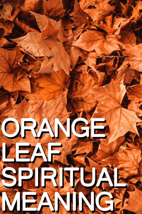 Spiritual Meaning of an Orange Leaf Leaves Meaning, Leaf Symbol, Orange Leaf, Spiritual Meaning, Meant To Be, Spirituality, Orange