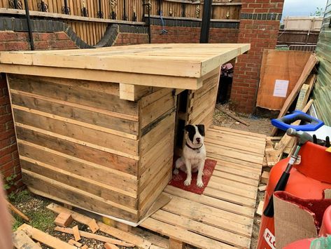 40 Free DIY Pallet Dog House Plans and Ideas Diy Dog House With Porch, Diy Big Dog House Outdoor, Dog House From Pallets Diy, Diy Xl Dog House, Dog Pen Ideas Outdoor, Dog House Out Of Pallets, Pallet Dog Kennel, Diy Pallet Dog House, Dog House Diy Plans