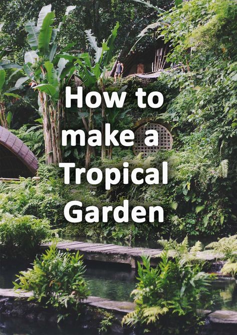 Tropical Garden Plants, Tropical Backyard Landscaping, Small Tropical Gardens, Bali Garden, Tropical Landscape Design, Small Backyard Design Layout, Florida Landscaping, Small Backyard Design Ideas, Backyard Design Layout