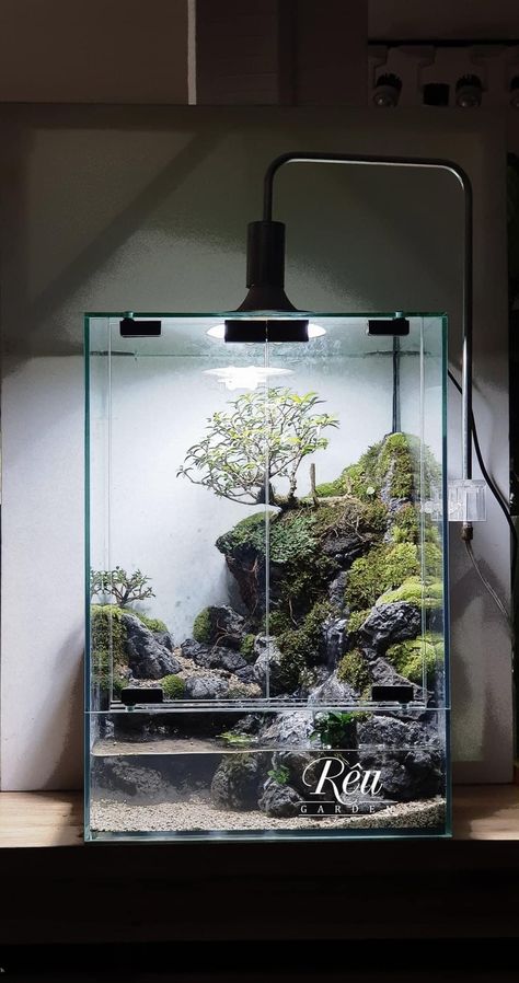 Long Aquascape, Paladarium Design, Natural Aquarium Ideas, Vivarium Waterfall, Living Aquarium, Paludarium Ideas, Tropical Terrariums, Modern Terrarium, Aquarium Architecture