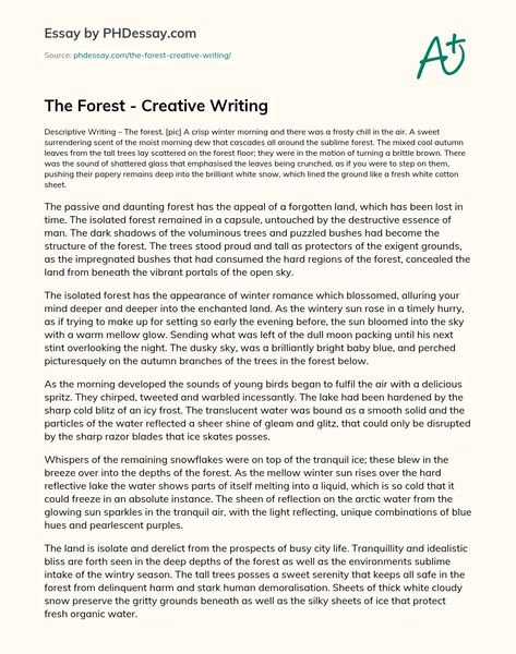 Article Essay Example, Story Writing Examples, Describing Forest Writing, Forest Descriptive Writing, Article Writing Example, Feature Writing Example, Gcse Creative Writing Example, Descriptive Writing Examples, Descriptive Essay Example