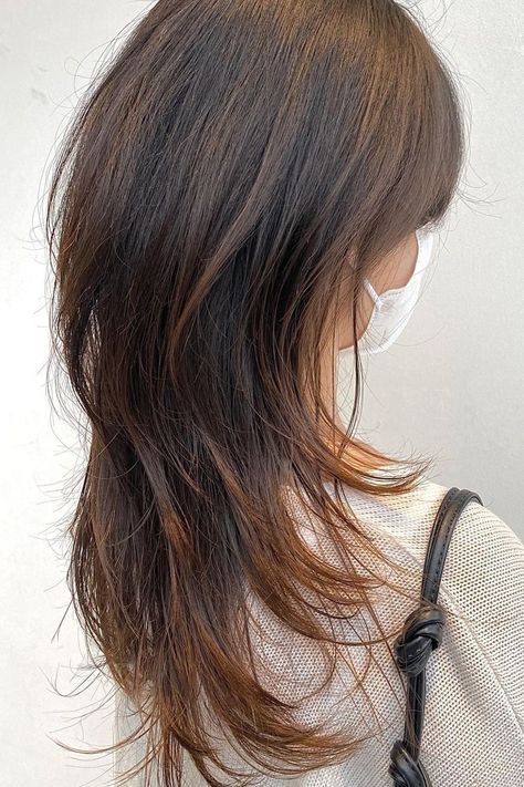 Hush Cut Straight Hair, Wolf Cut Korean, Hush Cut Hair Medium, Shag Layered Haircuts, Korean Hush Cut, Layered Wolf Cut, Haircut Shag, Cut Wolf, Long Hairstyle Ideas