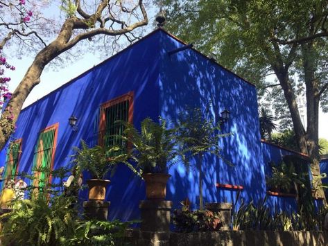 <font style="vertical-align: inherit;"><font style="vertical-align: inherit;">Frida Kahlo's betoverende tuin zes decennia na haar dood</font></font> Frida House, Frida Kahlo House, House Mexico, Diego Rivera, House Museum, Beautiful Places In The World, Blue House, Mexico Travel, Mexico City