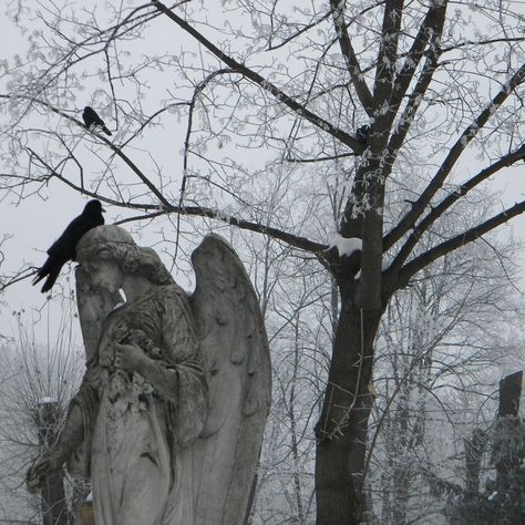 Era Victoria, Baba Jaga, Arte Occulta, Angel Statue, Southern Gothic, Angel Aesthetic, Gothic Aesthetic, Dark Winter, Arte Obscura