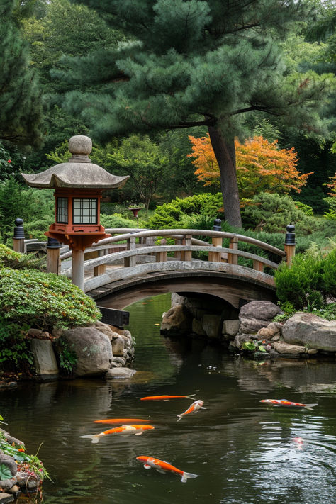 Japanese garden, koi pond, stone bridge, tranquil setting, stone lantern, pine trees, autumn foliage, zen landscape, garden tranquility, koi carp, water reflection, peaceful garden, Japanese landscaping, cultural garden design, nature scene, ornamental fish, lush greenery, serene nature, outdoor beauty, harmony. Fish Pond With Bridge, Japanese Bridge Garden, Japanese Fish Pond, Garden Pond Bridge, Koi Pond Bridge, Japanese Zen Gardens, Waterfall Koi Pond, Koi Ponds With Waterfalls, Bridge In Garden