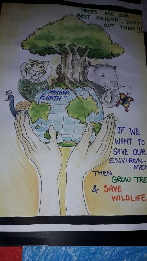 Wildlife Conservation Through Coexistence Painting, Save Forests Poster, Poster On Wildlife, Save Forest Poster Drawing, Poster On Wildlife Conservation, Save Wildlife Poster Painting, Save Animals Drawing, Save Wildlife Poster Ideas, Energy Conservation Poster