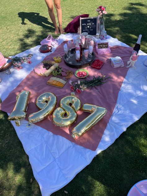 Cute Birthday Picnic Ideas, 22ns Birthday Ideas, Picnic Birthday Decorations, 25th Birthday Picnic, Birthday Picnic Ideas For Friends, Diy Birthday Picnic, Founders Day Decoration Ideas, Birthday Picnic Ideas Decorations, 26 Birthday Ideas For Her