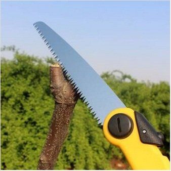 Folding Gardening Fruit Tree Pruning Hand Saw Portable Doubleedge Sawtooth Trimming Saw * Check this awesome product by going to the link at the image. Fruit Tree Pruning, Shipping Container Architecture, Pruning Fruit Trees, Container Architecture, Tree Pruning, Fruit Tree, Hand Saw, Saws, Shipping Container