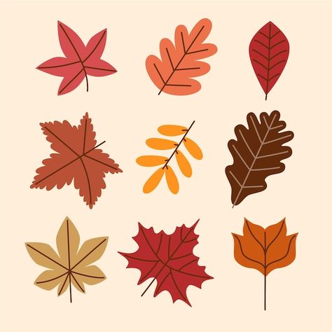 Fall Leaves Clip Art, Fall Leaf Doodle, Autumn Leaves Drawing Simple, Cute Leaf Drawing, Fall Leaf Drawing, Fall Leaves Cartoon, Autumn Leaves Illustration, Maple Leaf Drawing, Cartoon Leaves