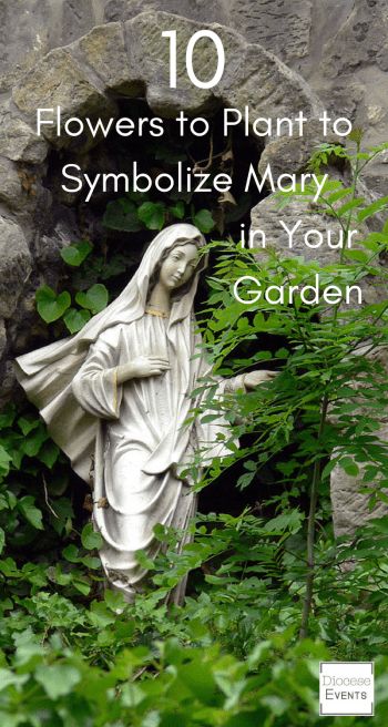 Marian Garden, Flowers To Plant, Tattoo Plant, Sacred Garden, Prayer Garden, 10 Flowers, Meditation Garden, Mary Statue, Art Sacre