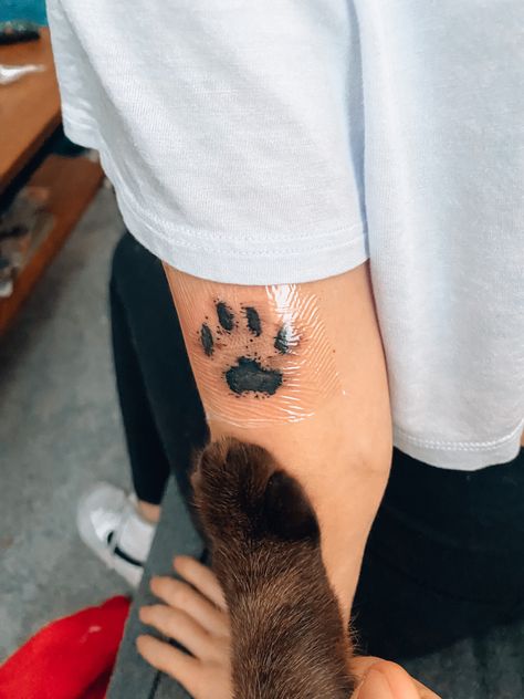 Tattoo Ideas Cat Paw, Cat Paw Print Tattoo Placement, Pet Paw Print Tattoo Cats, Cat Tattoo Paw Print, Cat Print Tattoo Ideas, Paw Print Tattoo Placement Ideas, Cat Memorial Tattoo Paw, Paw Cat Tattoo, Cujo Tattoo