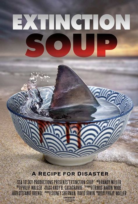 Shark Finning, Soup Video, Save The Sharks, Sustainable Seafood, Theme Tattoo, Shark Fin, Extinct Animals, Marine Biology, Shark Week