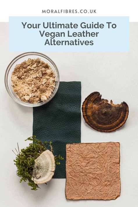 Two samples of plant-based leather - one green and one brown - next to mushrooms and a blue text box that reads your ultimate guide to vegan leather alternatives. Sustainable Alternatives, Pineapple Leather, Faux Leather Outfits, Eco Cleaning, Blue Text, Cellulose Fiber, Sustainable Leather, Eco Gifts, Ethical Brands